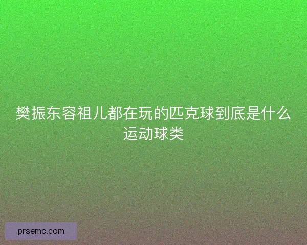 樊振东容祖儿都在玩的匹克球到底是什么运动球类
