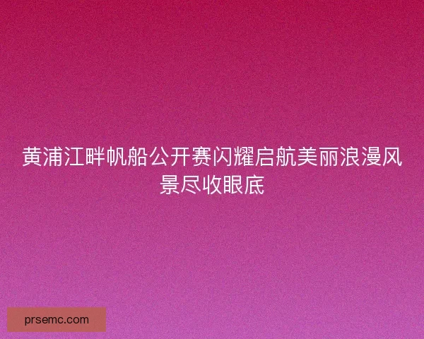 黄浦江畔帆船公开赛闪耀启航美丽浪漫风景尽收眼底